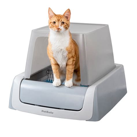 best self cleaning litter box